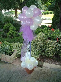 Choice Balloons and Cakes 1062960 Image 4